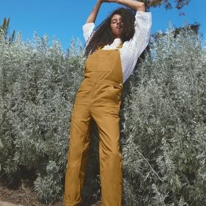 Everlane Canvas Overalls